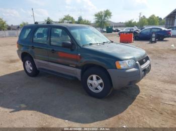  Salvage Ford Escape