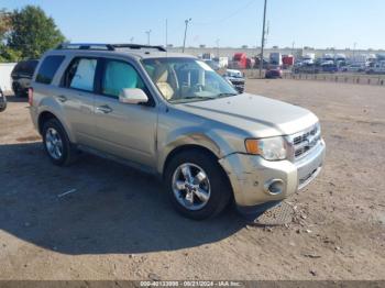  Salvage Ford Escape