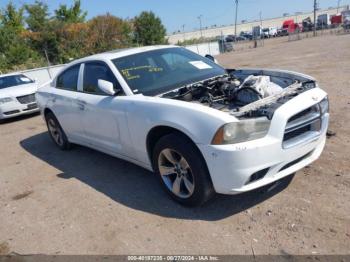  Salvage Dodge Charger