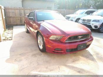  Salvage Ford Mustang