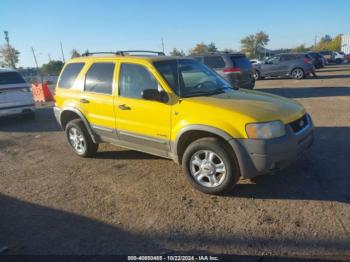  Salvage Ford Escape