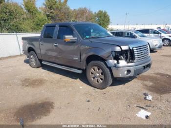  Salvage Ford F-150