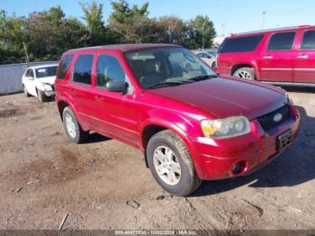  Salvage Ford Escape