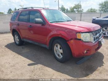  Salvage Ford Escape