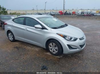  Salvage Hyundai ELANTRA