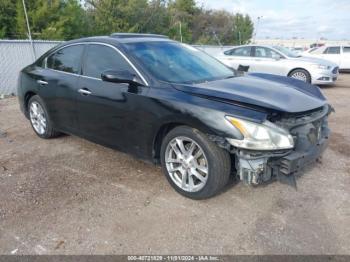  Salvage Nissan Maxima