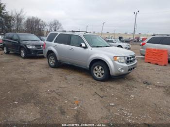  Salvage Ford Escape