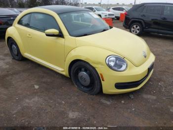  Salvage Volkswagen Beetle