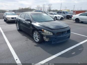  Salvage Nissan Maxima