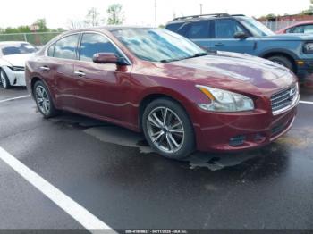  Salvage Nissan Maxima