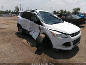  Salvage Ford Escape