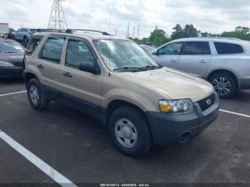  Salvage Ford Escape
