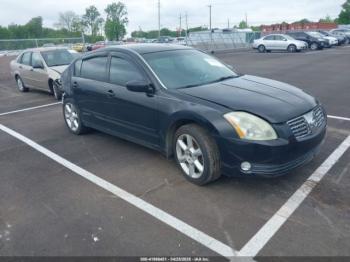  Salvage Nissan Maxima