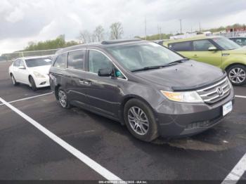  Salvage Honda Odyssey