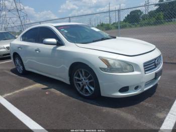  Salvage Nissan Maxima