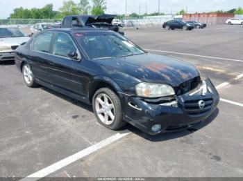  Salvage Nissan Maxima