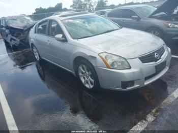  Salvage Nissan Maxima