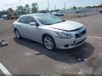  Salvage Nissan Maxima