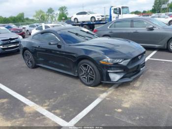  Salvage Ford Mustang