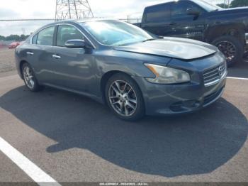  Salvage Nissan Maxima