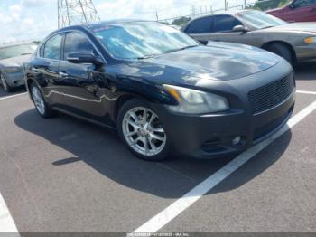  Salvage Nissan Maxima