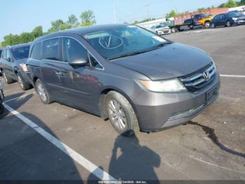  Salvage Honda Odyssey