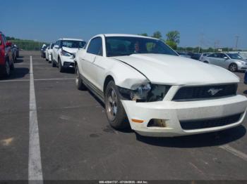  Salvage Ford Mustang