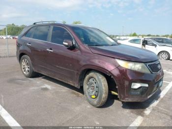  Salvage Kia Sorento