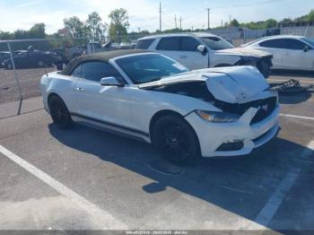  Salvage Ford Mustang