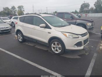  Salvage Ford Escape
