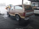 Ford Bronco U100 Image 2