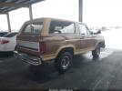 Ford Bronco U100 Image 3