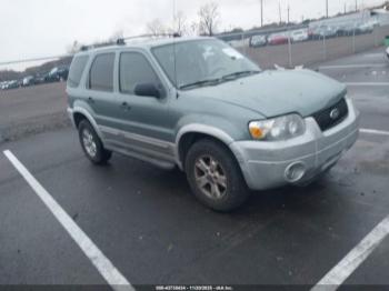  Salvage Ford Escape